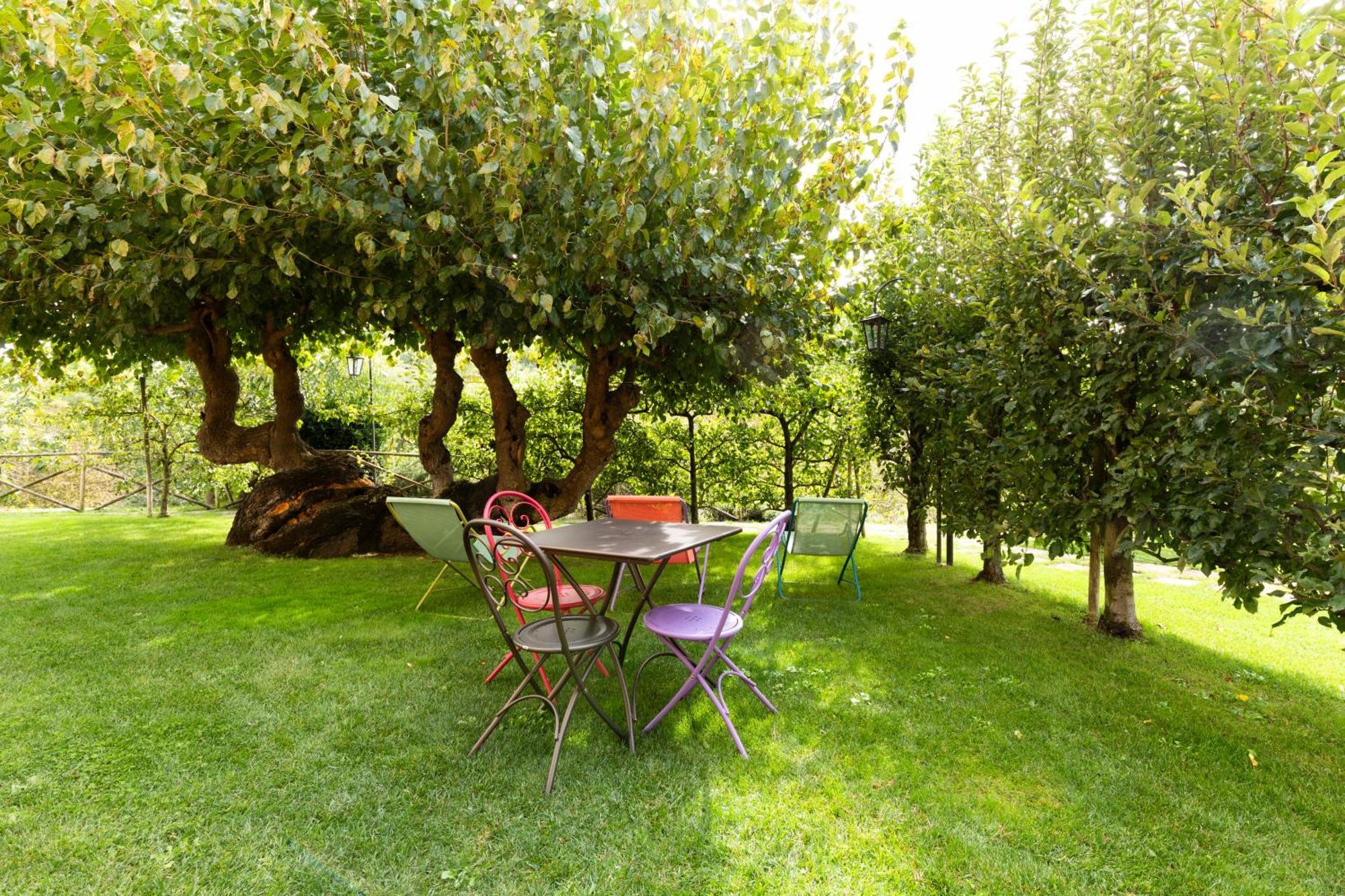 Agriturismo I Gelsi Di Santa Cristina 구비오 외부 사진
