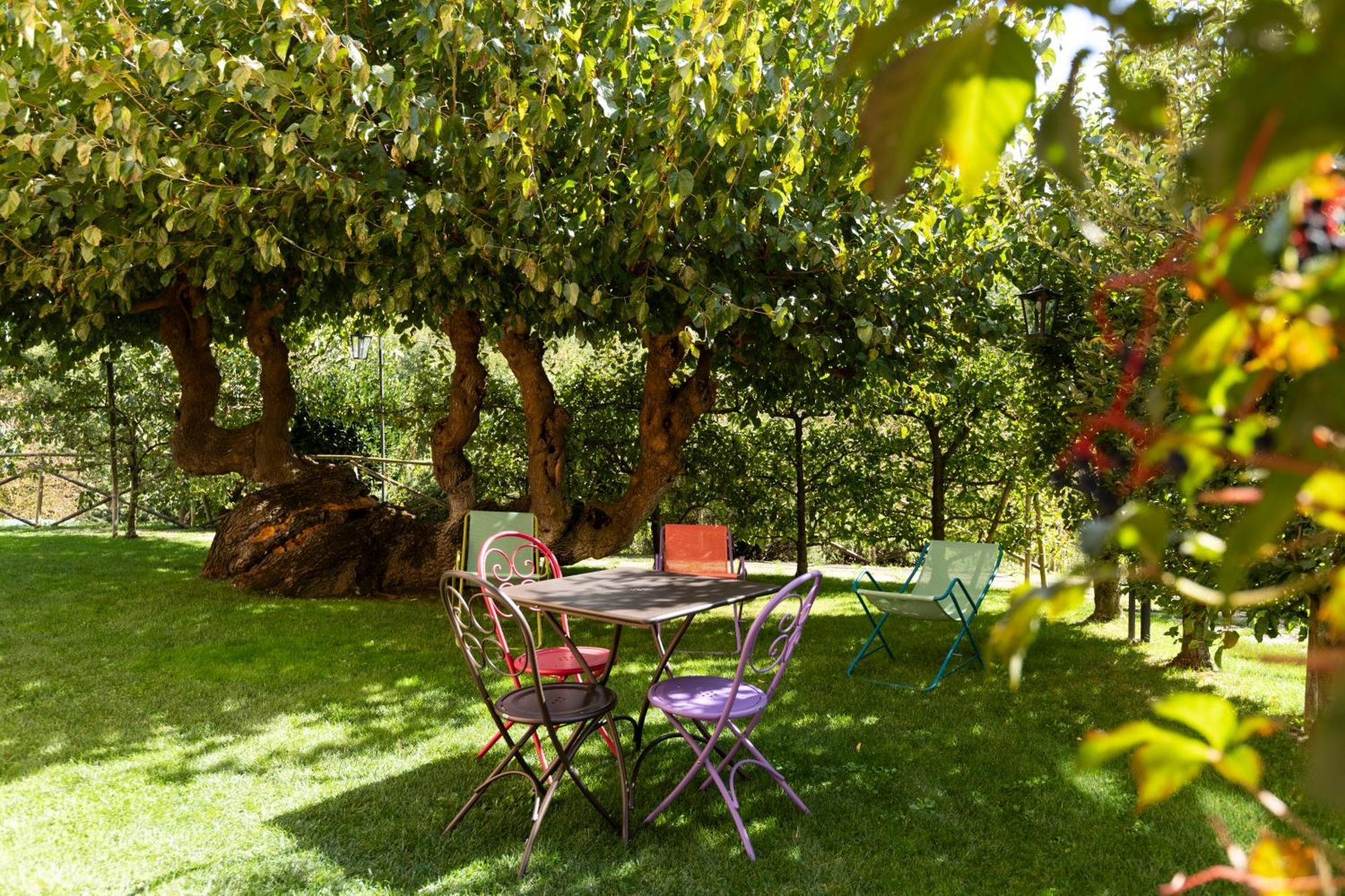 Agriturismo I Gelsi Di Santa Cristina 구비오 외부 사진