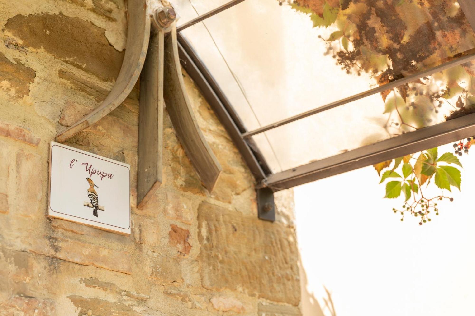 Agriturismo I Gelsi Di Santa Cristina 구비오 외부 사진